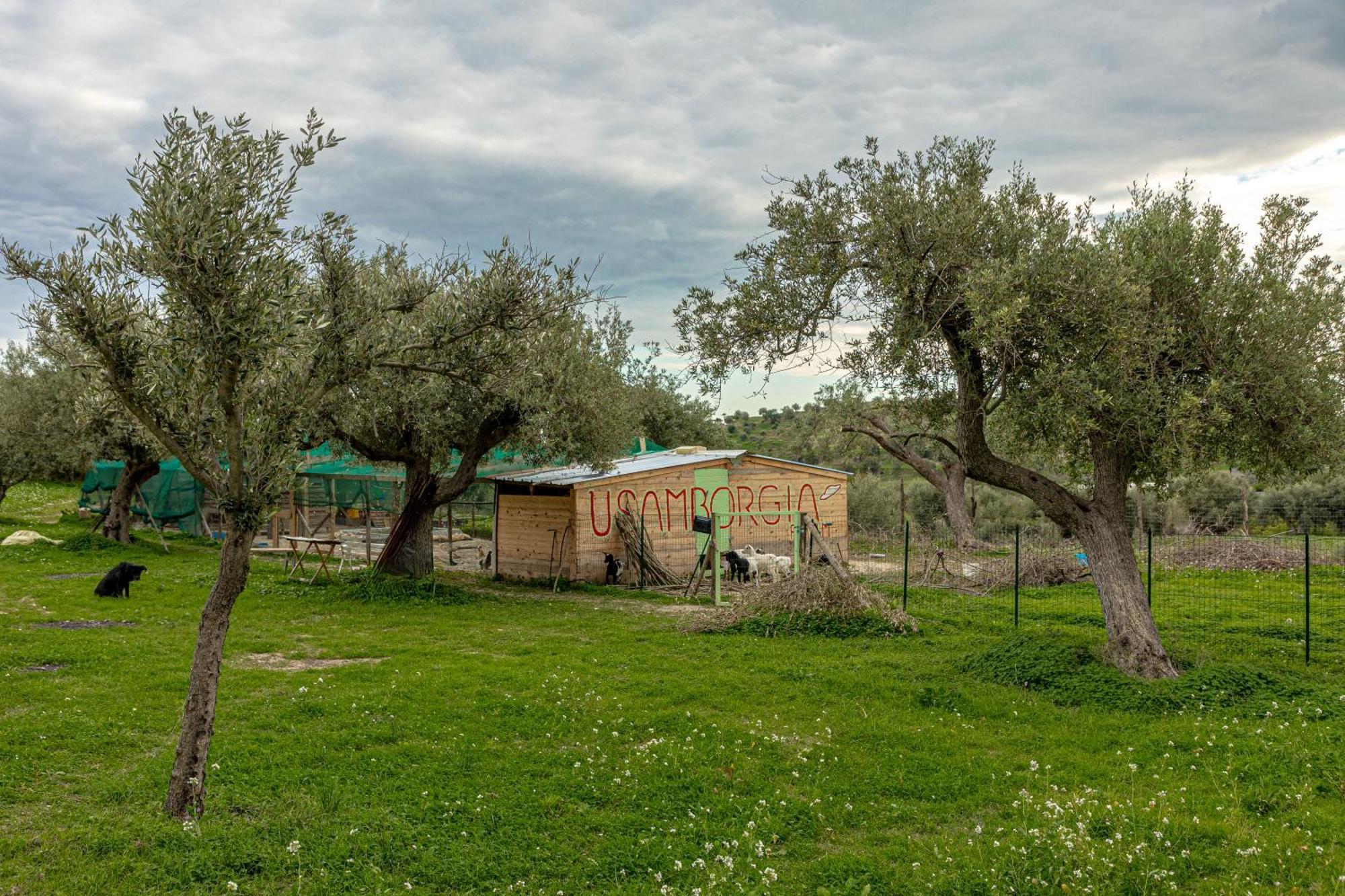 Masseria Usamborgia Noto Exterior photo